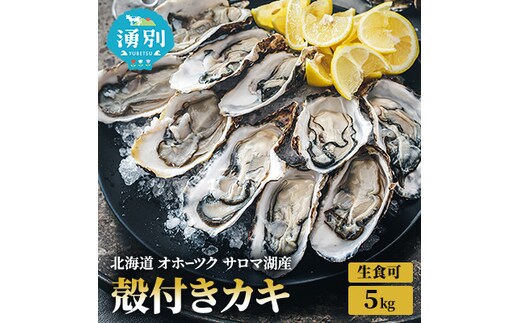 北海道 オホーツク サロマ湖産 殻付き カキ 生食可 5kg 牡蠣職人厳選 牡蠣 国産 貝付き 魚貝類 生牡蠣 ノロウイルス検査実施 海のミルク 海鮮 海の幸 つまみ 晩酌 お酒のあて 