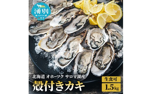 先行予約 北海道 オホーツク サロマ湖産 殻付き カキ 生食可 1.5kg 牡蠣職人厳選 牡蠣 国産 貝付き 魚貝類 生牡蠣 ノロウイルス検査実施 海のミルク 海鮮 海の幸 つまみ 晩酌 お酒のあて 