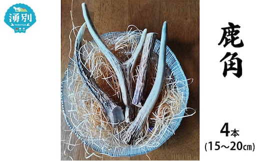 北海道 エゾ鹿角 4本 （15～20cm） 【 インテリア 飾り エゾシカ エゾ鹿 ハンドメイド素材 おもちゃ スタッグ お守り 】