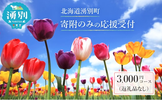 北海道湧別町 寄附のみの応援受付 3,000円コース（返礼品なし 寄附のみ 3000円）