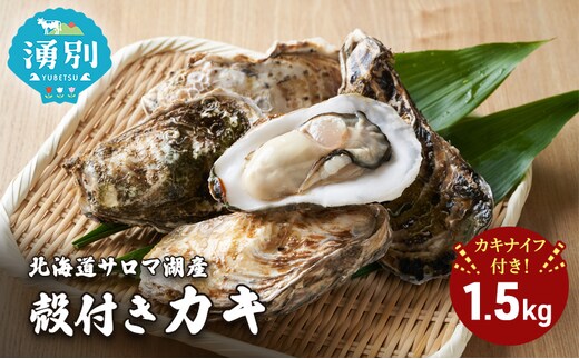 北海道 サロマ湖産 殻付き カキ 1.5kg カキナイフ付 牡蠣 海鮮 魚介 国産 貝付き 生牡蠣 生食 焼き牡蠣 蒸し牡蠣 