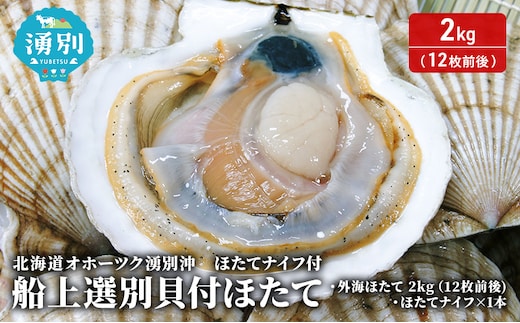 北海道 オホーツク 湧別沖 船上 選別 貝付 ほたて 2kg（12枚前後）ホタテナイフ付 帆立 刺身 海鮮 魚介 国産 殻付き 冷蔵 サロマ湖 魚貝類 砂抜き お刺身 生食