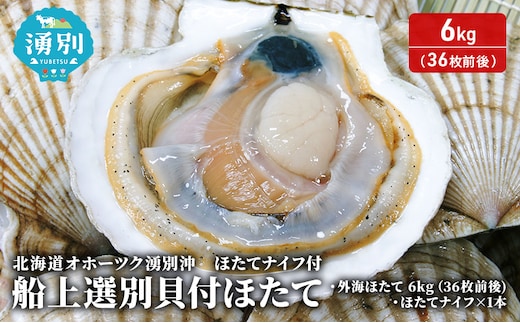 北海道 オホーツク 湧別沖 船上 選別 貝付 ほたて 6kg（36枚前後）ホタテナイフ付 帆立 刺身 海鮮 魚介 国産 殻付き 冷蔵 サロマ湖 魚貝類 砂抜き お刺身 生食