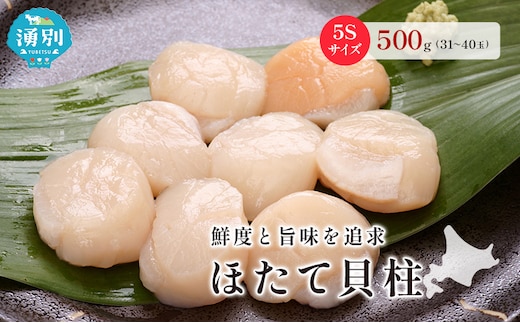 オホーツク海産 冷凍 ほたて 貝柱 500g 5Sサイズ [株式会社寺本商店]【 帆立 ホタテ 刺身 玉冷 海鮮 魚介 魚貝類 生食用 北海道 湧別町 サロマ湖 】