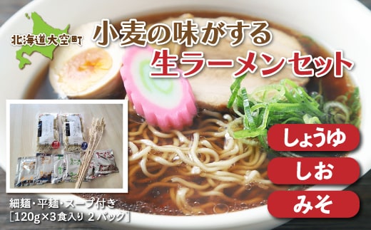 小麦の味がする生ラーメンセット（細麺・平麺・スープ付き）120g×3食入り２パック OSR004
