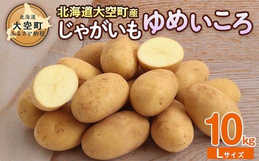【先行予約】じゃがいも（ゆめいころ） Lサイズ 10kg 大空町産（2026年10月以降順次発送） OSR011