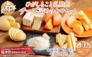 ひがしもこと乳酪館 チーズ詰め合わせセット 10種 OSA069