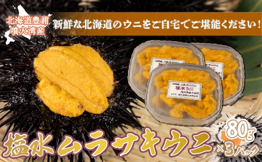 【令和8年度発送先行予約】うに 塩水 ムラサキウニ 80g×3パック 北海道 豊浦 噴火湾 雲丹【 配送不可地域：離島】 TYUR022