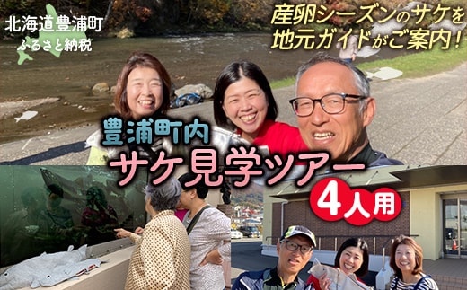 【豊浦町内】サケ見学ツアー（4人用） TYUL020