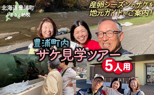 【豊浦町内】サケ見学ツアー（5人用） TYUL021