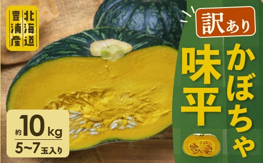 【2026年9月以降順次発送】【訳あり】北海道 豊浦産 かぼちゃ 味平 約10kg 5~7玉入り