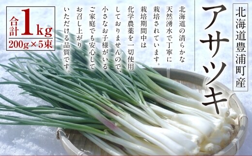 アサツキ 200g×5束 【2027年2月上旬以降順次発送】
