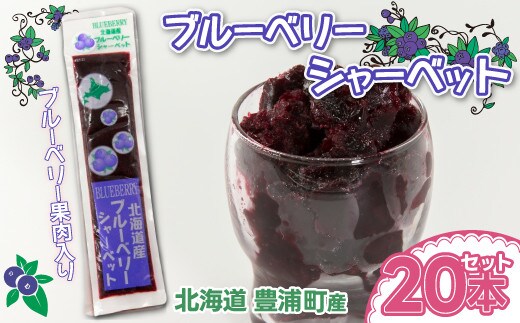北海道 豊浦町 ブルーベリーシャーベット 20本