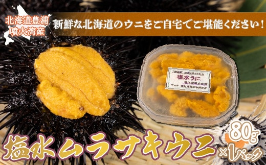 【令和8年度発送先行予約】うに 塩水 ムラサキウニ 80g 北海道 豊浦 噴火湾 雲丹【配送不可地域:離島】