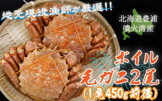 【令和8年度発送先行予約】【地元現役漁師が厳選!!】ボイル・毛ガニ2尾 (1尾450g前後) 北海道 豊浦 噴火湾