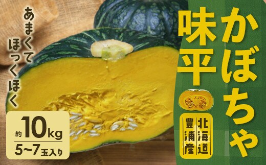 【2026年9月以降順次発送】北海道 豊浦産 かぼちゃ 味平 約10kg 5~7玉入り