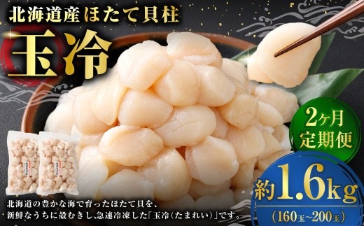 [ 定期1ヶ月毎2回 ] 北海道産 ほたて 貝柱玉冷 約1.6g （ 160 ~ 200玉 ） 800g × 2パック ホタテ 帆立 貝柱 玉冷 貝 魚介 魚介類 海鮮 海産物 刺身 お刺身 バター焼き フライ カルパッチョ 保存性 利便性 国産 冷凍 定期便 定期配送