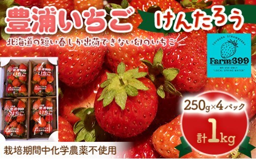 【2026年4月下旬以降順次発送】豊浦いちご 250g×4パック
