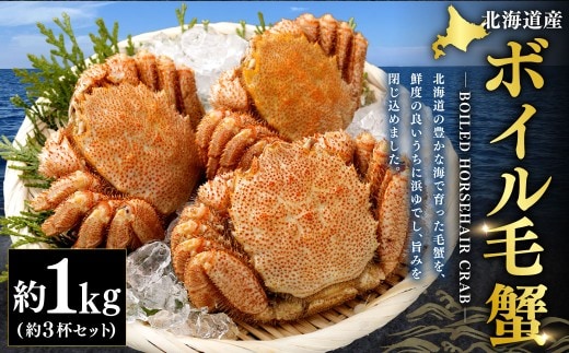 北海道産 ボイル毛蟹 3杯セット 約1kg カニ かに 蟹 毛蟹 毛ガニ 毛がに ボイル 蟹みそ 魚介 魚介類 海鮮 海の幸 贈り物 贈答用 プレゼント ギフト お祝い 国産 冷凍