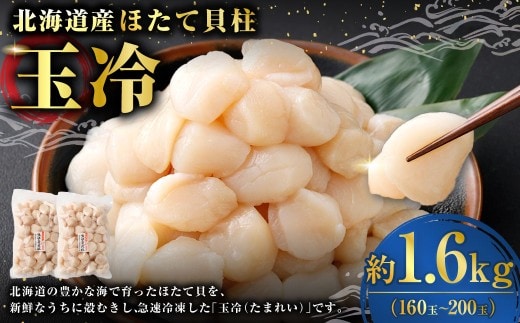 北海道産 ほたて 貝柱玉冷 約1.6kg （ 160 ~ 200玉 ） 800g × 2パック ホタテ 帆立 貝柱 玉冷 貝 魚介 魚介類 海鮮 海産物 刺身 お刺身 バター焼き フライ カルパッチョ 保存性 利便性 国産 冷凍