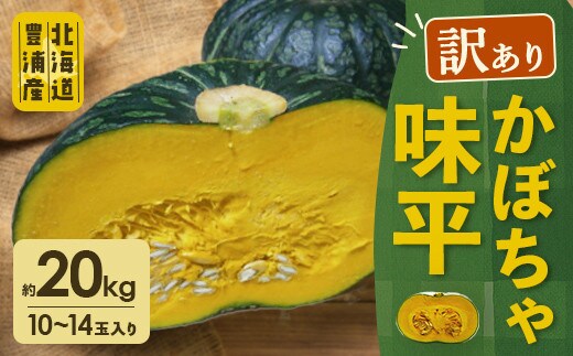 【2026年9月以降順次発送】【訳あり】北海道 豊浦産 かぼちゃ 味平 約20kg 10~14玉入り