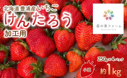 【2026.4月下旬以降順次出荷】北海道 豊浦 いちご 加工用 小粒 けんたろう 250g×4パック1箱 約1kg