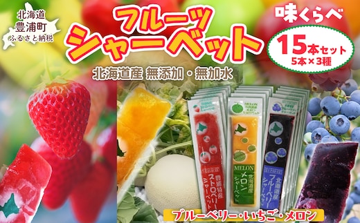 北海道 豊浦町 ブルーベリー いちご メロン シャーベット 5本×3種 TYUN017