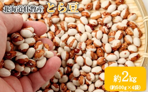 <2025年11月中旬よりお届け>北海道壮瞥産 とら豆 約2kg（約500g×4袋） SBTA039