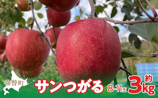 【先行予約】北海道壮瞥町産りんご「サンつがる」約3kg(8～11玉)<2026年9月下旬よりお届け> SBTF001