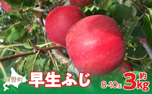 【先行予約】北海道壮瞥町産りんご「早生ふじ」約3kg(8～10玉)<2026年10月中旬よりお届け> SBTF002