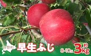 【先行予約】北海道壮瞥町産りんご「早生ふじ」約3kg(8～10玉)<2026年10月中旬よりお届け> SBTF002