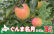 【先行予約】北海道壮瞥町産りんご「ぐんま名月」約3kg(8～10玉)<2026年11月中旬よりお届け> SBTF004