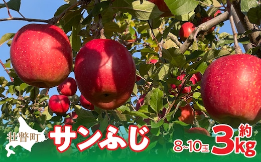 ＜2025年12月上旬よりお届け＞北海道壮瞥町 りんご 品種名「サンふじ」8～10玉約3kg SBTF006