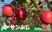【先行予約】北海道壮瞥町産りんご「サンふじ」約3kg(8～10玉)<2026年12月上旬にお届け> SBTF006