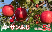 【先行予約】北海道壮瞥町産りんご「サンふじ」約5kg(12～18玉)<2026年12月上旬にお届け> SBTF007