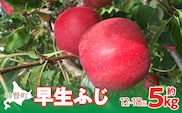 【先行予約】北海道壮瞥町産りんご「早生ふじ」約5kg(12～18玉)<2026年10月中旬よりお届け> SBTF009