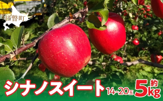 ＜2025年10月下旬よりお届け＞北海道壮瞥町 りんご「シナノスイート」12~18玉約5kg SBTF012
