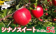 【先行予約】北海道壮瞥町産りんご「シナノスイート」約5kg(12～18玉)<2026年10月下旬よりお届け> SBTF012