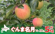 【先行予約】北海道壮瞥町産りんご「ぐんま名月」約5kg(12～20玉)<2026年11月中旬よりお届け> SBTF013