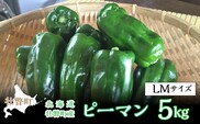 ＜2026年7月下旬よりお届け＞北海道壮瞥町産 ピーマン 約5kg SBTL014