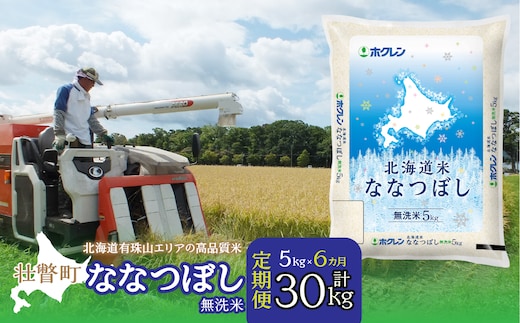 【令和7年産6ヶ月定期配送】（無洗米5kg）ホクレン北海道ななつぼし SBTD117