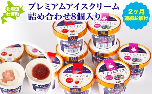 プレミアムアイスクリーム詰め合わせ8個入り 2ヶ月連続お届け SBTA025