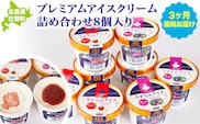 プレミアムアイスクリーム詰め合わせ8個入り 3ヶ月連続お届け SBTA026