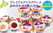 プレミアムアイスクリーム詰め合わせ8個入り6ヶ月連続お届け SBTA027