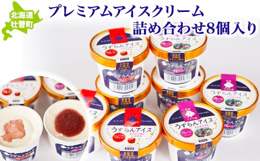 プレミアムアイスクリーム詰め合わせ8個入り SBTA035