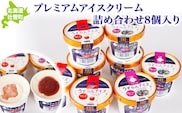 プレミアムアイスクリーム詰め合わせ8個入り SBTA035