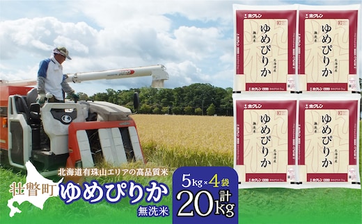 【新米】【令和7年産】（無洗米20kg）ホクレンゆめぴりか（無洗米5kg×4袋） SBTD067