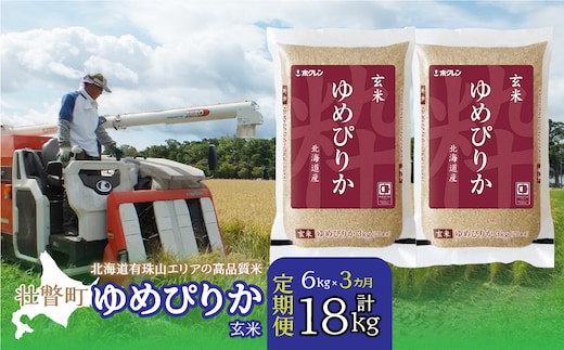 【新米】【令和7年産 3ヶ月定期配送】（玄米6kg）ホクレンゆめぴりか（3kg×2袋） SBTD074