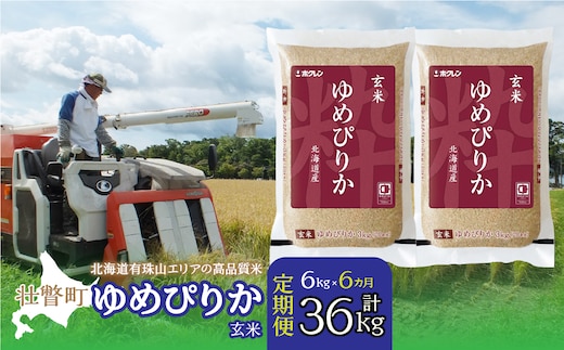 【令和7年産6ヶ月定期配送】（玄米6kg）ホクレンゆめぴりか（3kg×2袋） SBTD075