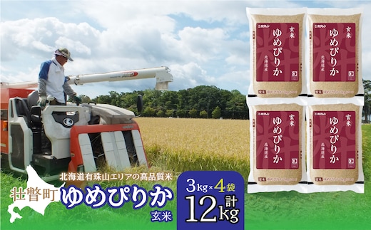 【新米】【令和7年産】（玄米12kg）ホクレンゆめぴりか（3kg×4袋） SBTD076